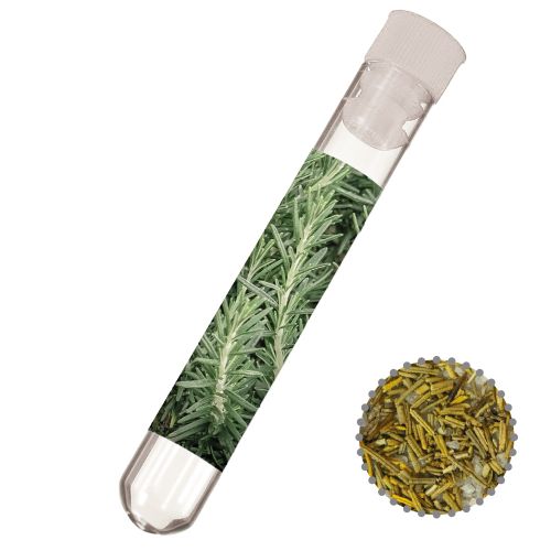 Gewürzmischung Rosmarin-Salz, ca. 8g, Reagenzglas