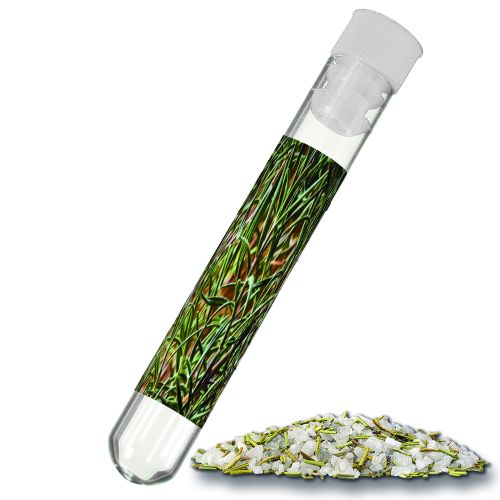 Gewürzmischung Rosmarin-Salz, ca. 8g, Reagenzglas