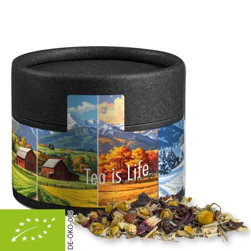 Bio Kräutertee Vierjahreszeiten, ca. 9g, Kraftpapierdose Mini schwarz